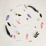 A circular arrangement of various flower petals and leaves on a white background.