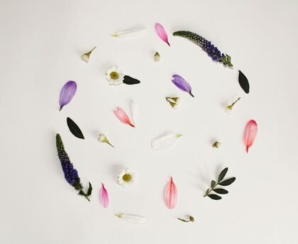 A circular arrangement of various flower petals and leaves on a white background.