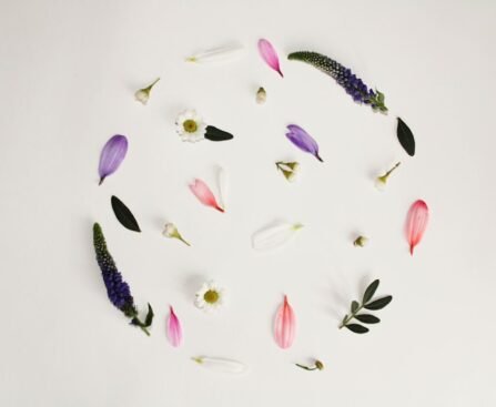 A circular arrangement of various flower petals and leaves on a white background.