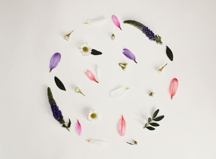 A circular arrangement of various flower petals and leaves on a white background.